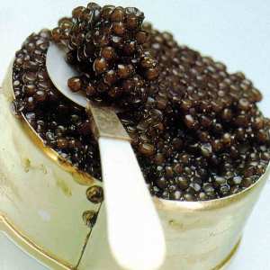 caviar_lata
